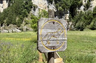 img_6719.jpeg img_6719.jpeg