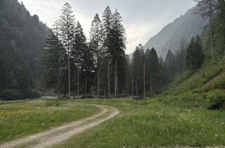 img_6513.jpeg