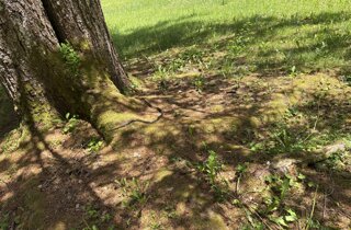 img_6657.jpeg