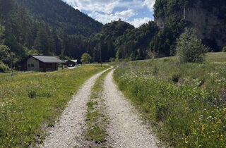 img_6672.jpeg