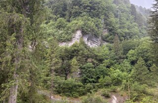 img_6511.jpeg