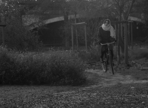 image00006.jpeg
