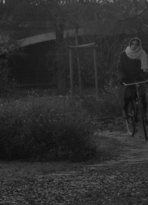 image00003.jpeg