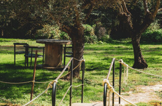 image00020.jpeg