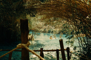 dsc00574.jpeg
