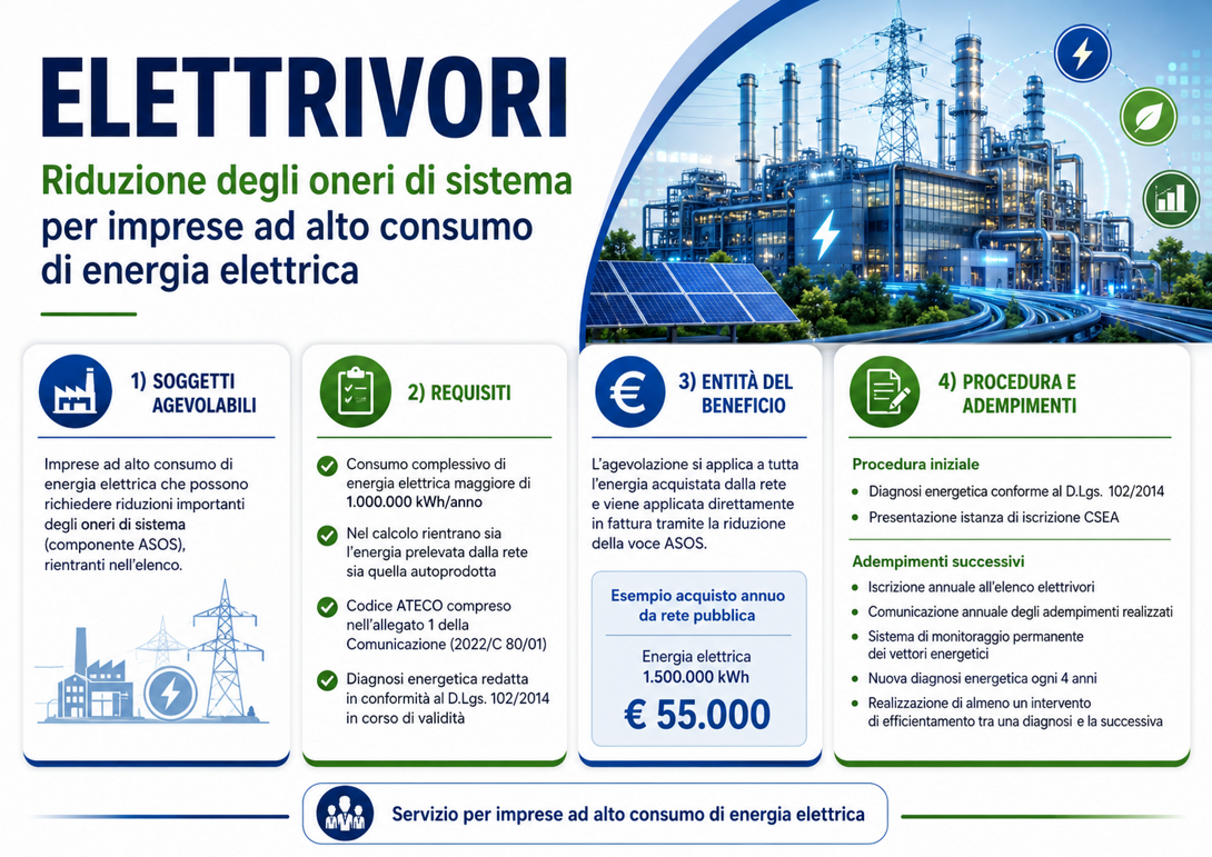 Elettrivori - Infografica