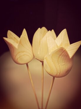 adb848c64f43d4f593880666e7862e9360ea3d8d