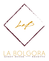 logo_transparent_background