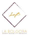 logo_transparent_background