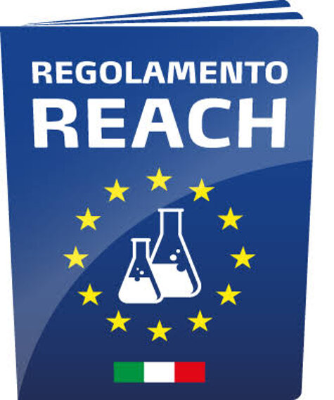 reach.jpeg