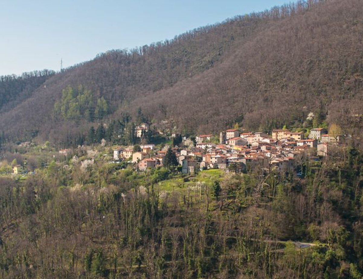 agrifoglio-basati_vista_panoramica.jpeg agrifoglio-basati_vista_panoramica.jpeg