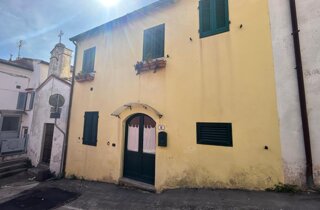 uva-bianca-dettaglio-nicchia.jpeg uva-bianca-dettaglio-nicchia.jpeg