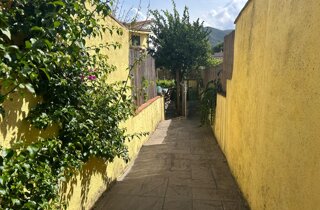 uva-bianca_tavolo_giardino.jpeg uva-bianca_tavolo_giardino.jpeg