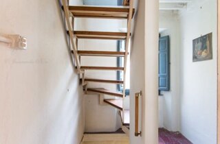 agrifoglio-basati-bagno.jpeg agrifoglio-basati-bagno.jpeg