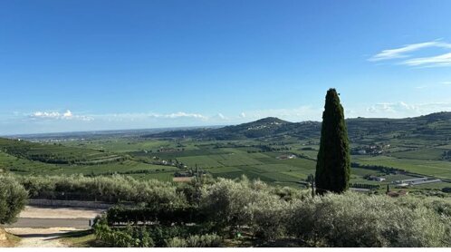 Colline della Valle di Mezzane, Verona