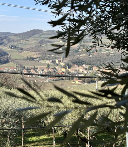 Colline della Valle di Mezzane, Verona