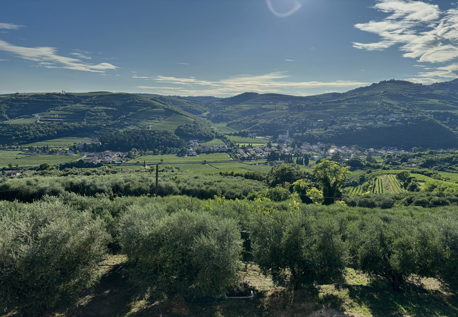 Colline della Valle di Mezzane, Verona