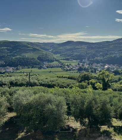Colline della Valle di Mezzane, Verona