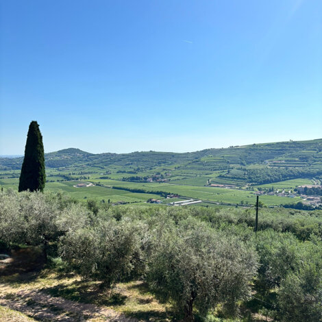 Colline della Valle di Mezzane, Verona