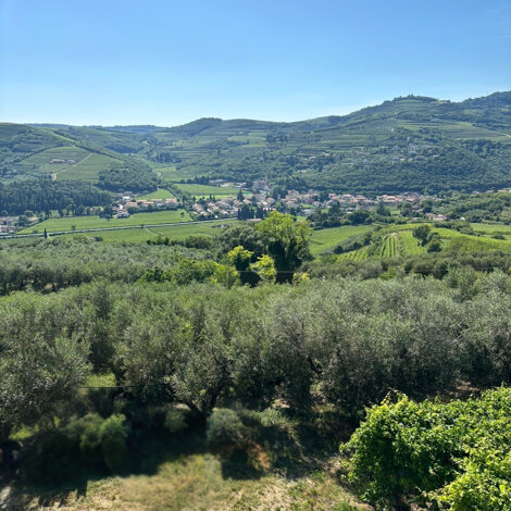 Colline della Valle di Mezzane, Verona