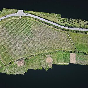 img_4627_20x13cm_120dpi_senza_bordi.jpeg