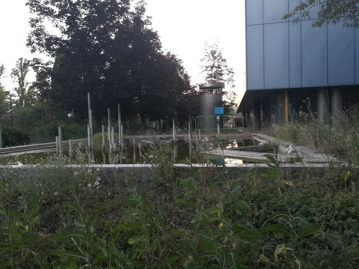 La verità? Si sono fatti fregare la fontana!