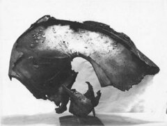 prototipo 2 metamorfosi 1962.jpeg prototipo 2 metamorfosi 1962.jpeg