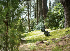 Animali, creature mostruose, primi esperimenti di scultura informale e ritratti statuari popolano il parco di villa Baldisserra a Pianoro (Bo). Animali, creature mostruose, primi esperimenti di scultura informale e ritratti statuari popolano il parco di villa Baldisserra a Pianoro (Bo).