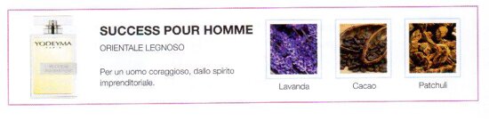 success pour homme.jpeg success pour homme.jpeg