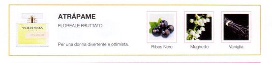 atrapame.jpeg atrapame.jpeg