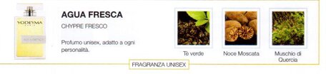 acqua fresca.jpeg acqua fresca.jpeg