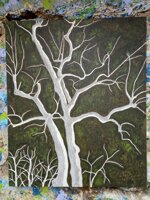 alberi