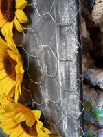 the-sunflowers