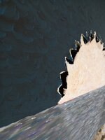 alba