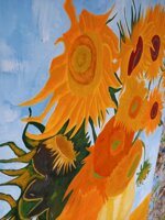 girasoli