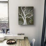 alberi