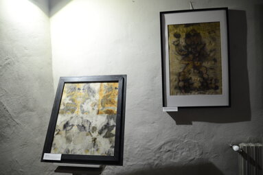 dsc_5472.jpeg