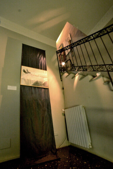 dsc_3695.jpeg