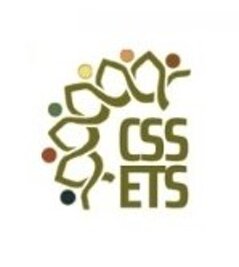 css ets .jpeg css ets .jpeg