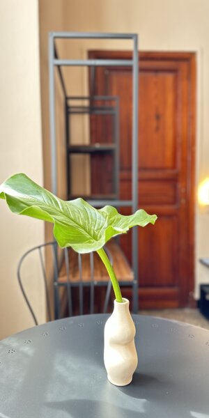 img_7292.jpeg