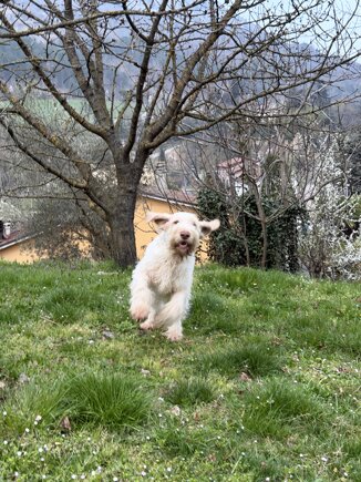 img_1056 2.jpeg img_1056 2.jpeg