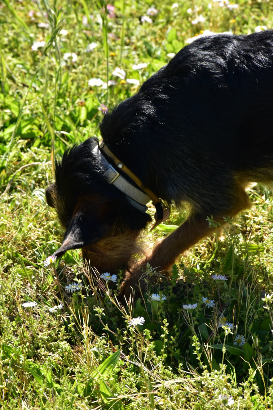 dsc_0301 2.jpeg