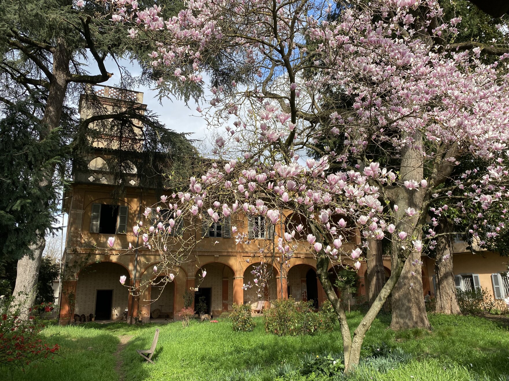 La magnolia ed il Palazzo Inglese
