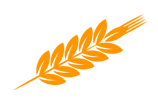 spiga