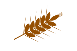 spiga di grano