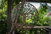 dsc06114.jpeg dsc06114.jpeg