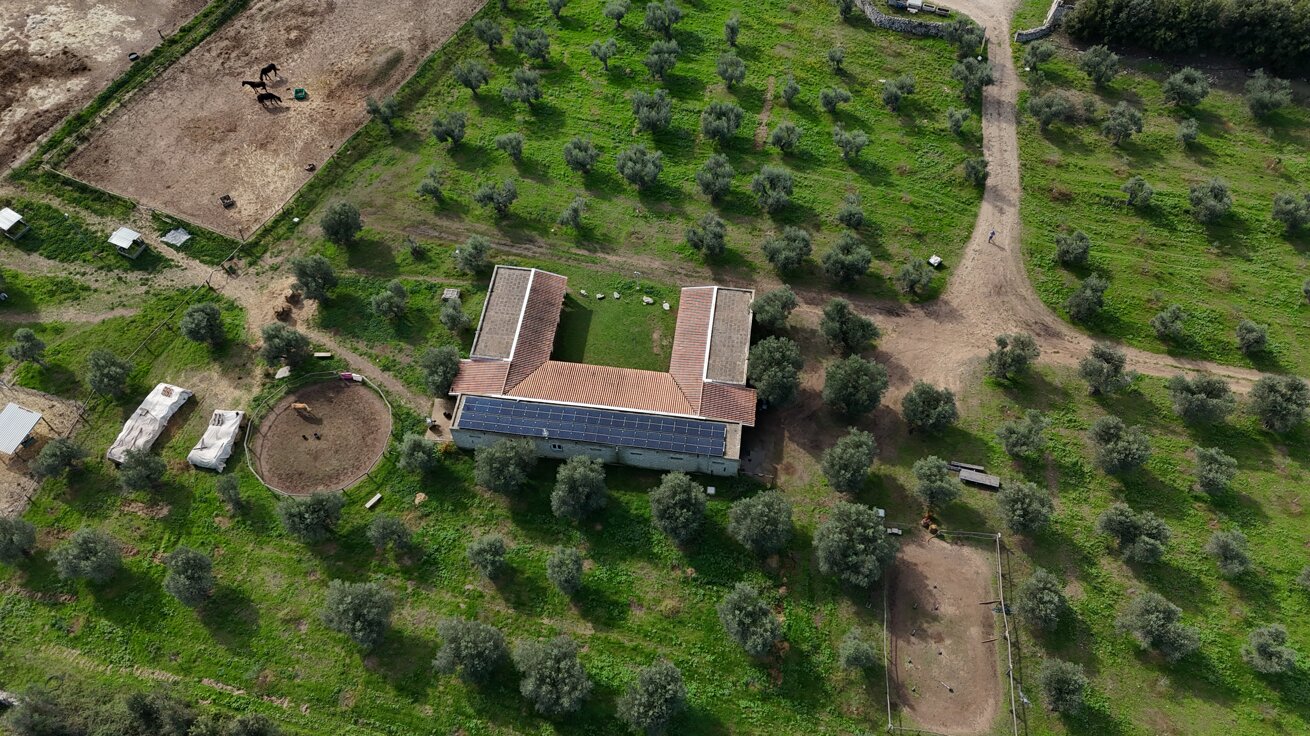 dji_20251022120951_0700_d.jpeg