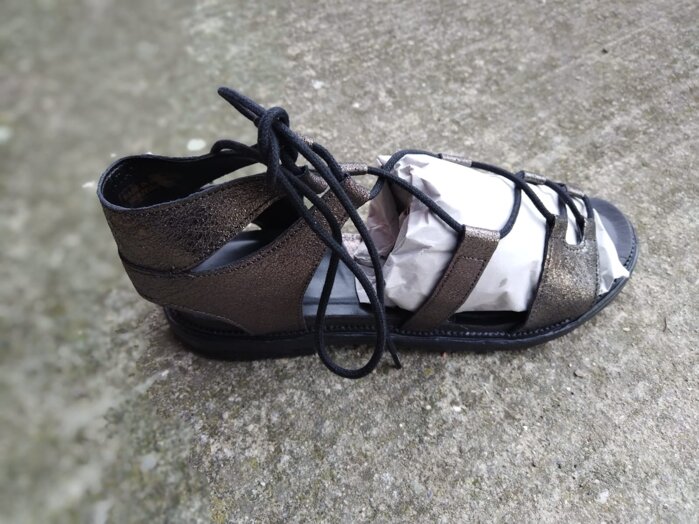 whatsapp image 2026-02-19 at 10.36.36.jpeg