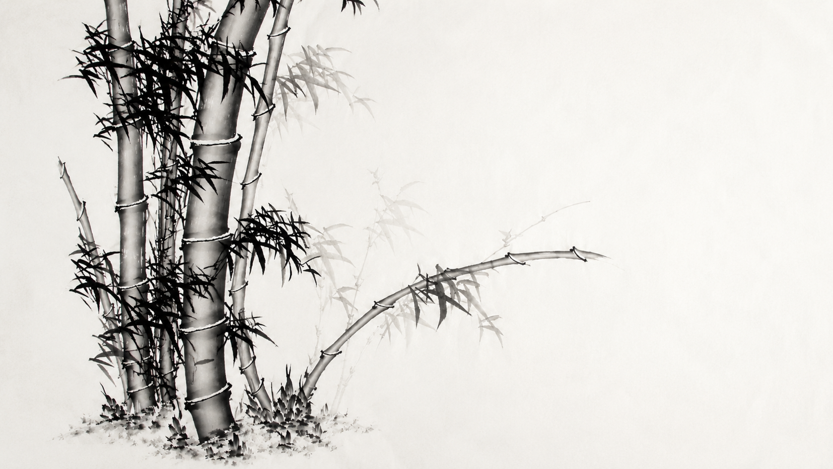 bamboo2