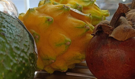 vissani frutta e verdura piccolo.jpeg